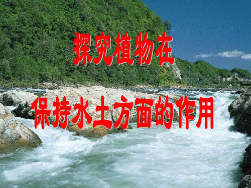 1998年夏季,中国南方的长江流域和北方的松花江、嫩江流域发生