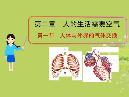 七年级生物下册 第二章 第一节 人体与外界的气体交换课件 济南版