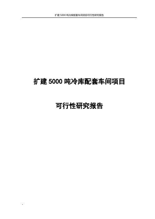 扩建5000吨冷库配套车间项目可行性研究报告