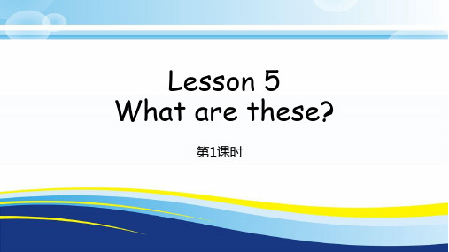 科普版英语四年级下册Lesson 5 What are these精品课件