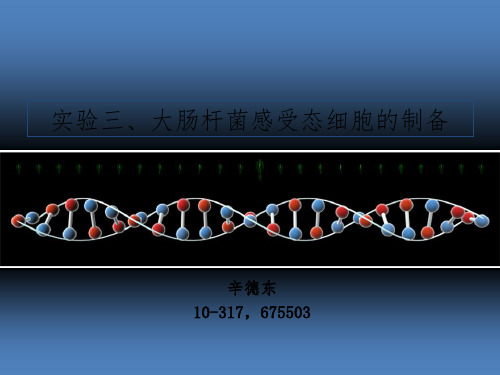 实验三 感受态细胞制备