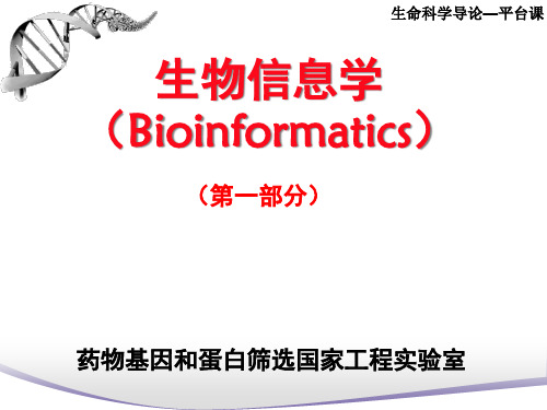 生物信息学平台课1精品PPT课件