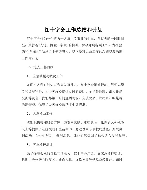 红十字会工作总结和计划