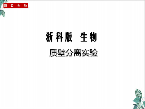 质壁分离实验-浙江高考生物一轮复习PPT课件(浙科版)教学PPT课件