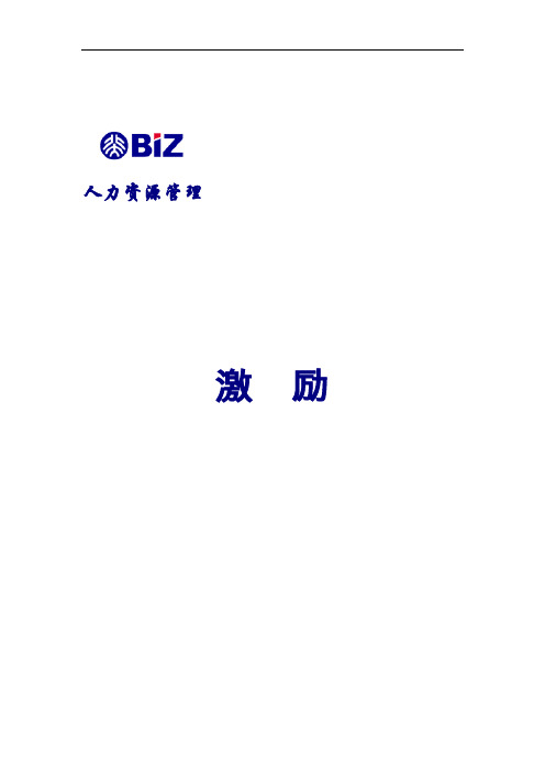 激励管理制度说明(173页)