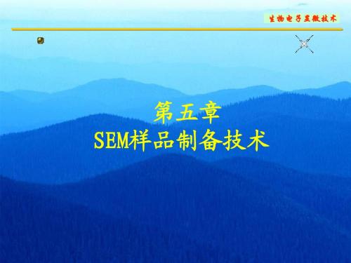 第五章  SEM样品制备技术NEW