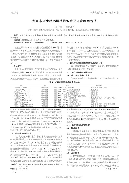 龙泉市野生杜鹃属植物调查及开发利用价值__