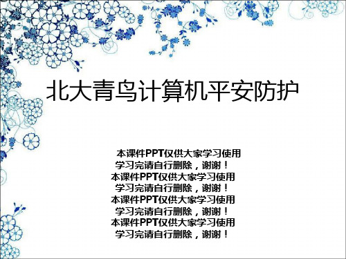 北大青鸟计算机安全防护