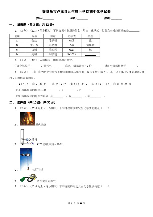 秦皇岛市卢龙县九年级上学期期中化学试卷