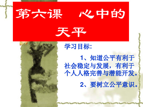 人民版九年级思想品德全一册《二单元 共同生活  第六课 心中的天平》课件_2