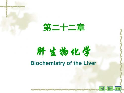 第二十二部分肝生物化学