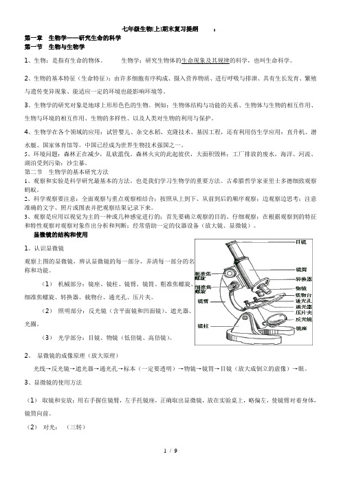 苏教版七年级(上册)生物期末复习提纲