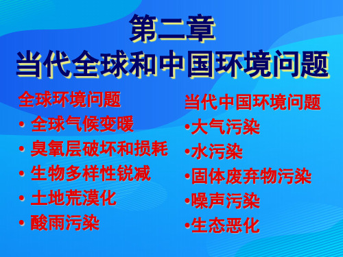 当代全球环境问题(ppt 27页)
