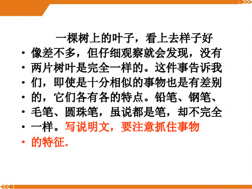 人教版语文八年级上册写作说明事物要抓住特征3-课件