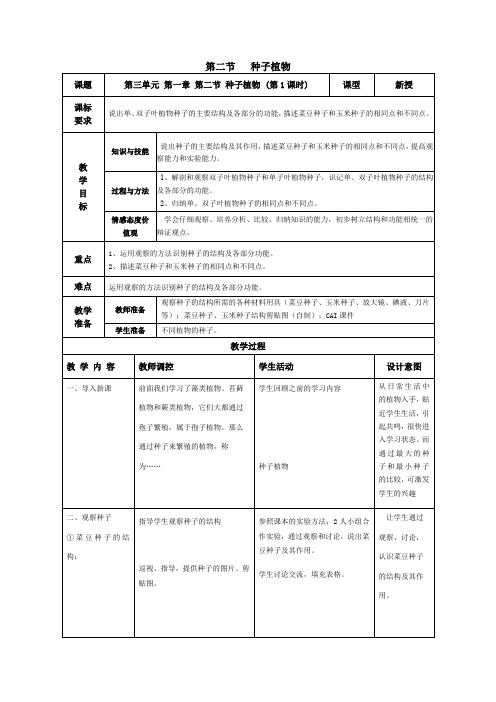 人教版初中生物《种子植物》教案