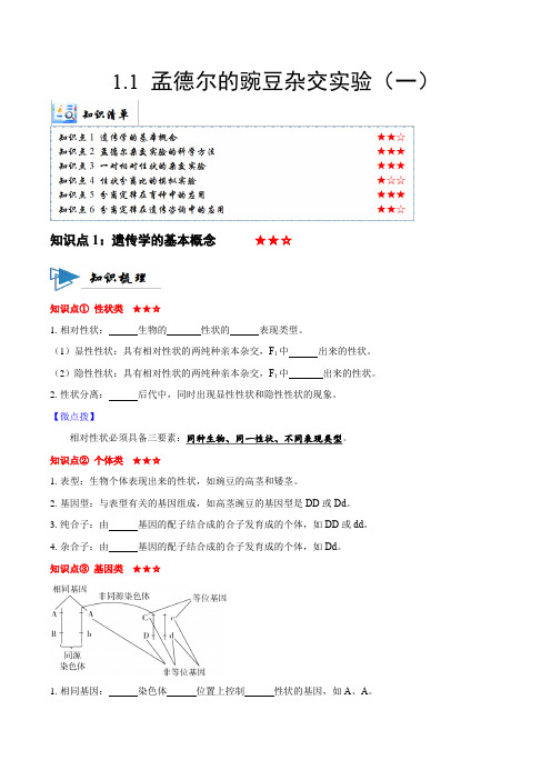 11孟德尔的豌豆杂交实验(一)(讲义)(原卷版)