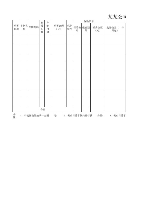 公司车辆统计表 最新版 实用 
