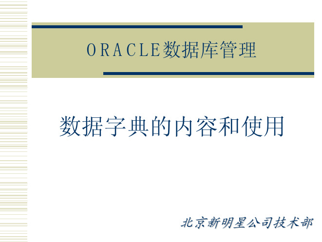 数据字典的内容和使用