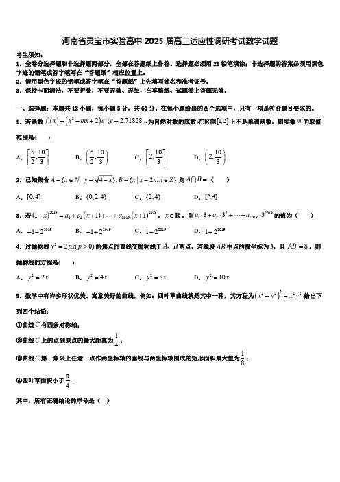 河南省灵宝市实验高中2025届高三适应性调研考试数学试题含解析