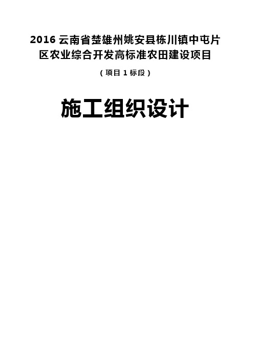 农业综合开发高标准农田建设项目施工组织设计