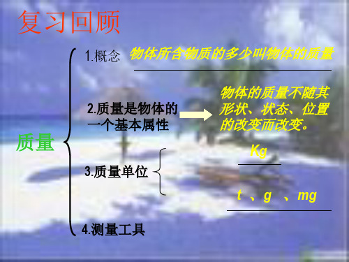 51质量的测量