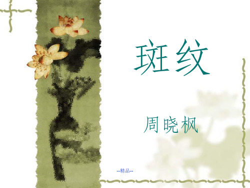 《斑纹》PPT课件