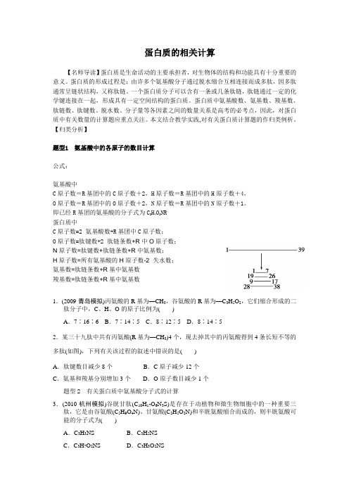 我整理的蛋白质的相关计算