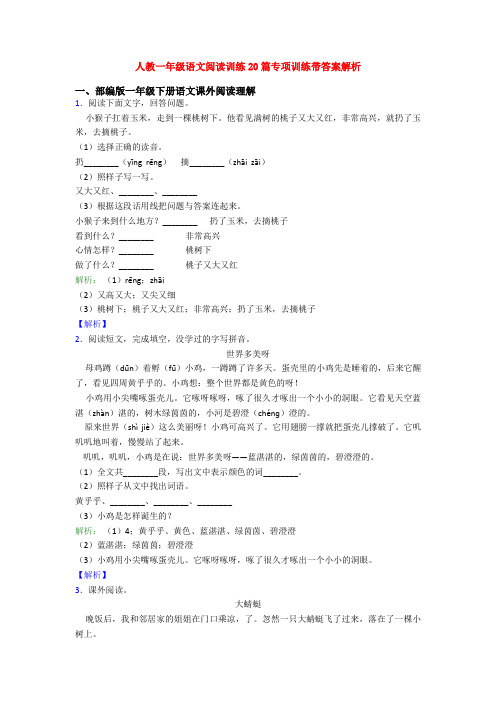 人教一年级语文阅读训练20篇专项训练带答案解析