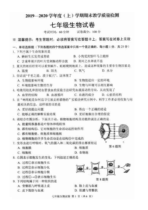 新人教版2019-2020七年级生物上学期期末试卷及其答案