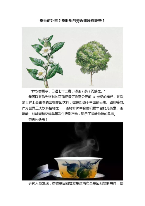 茶香何处来？茶叶里的芳香物质有哪些？