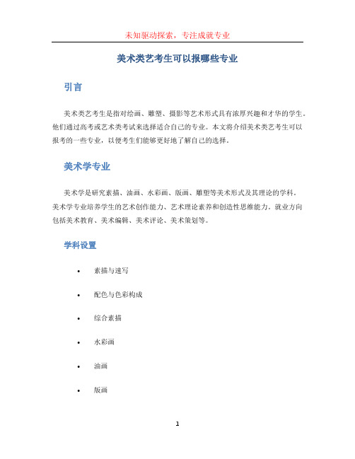 美术类艺考生可以报哪些专业