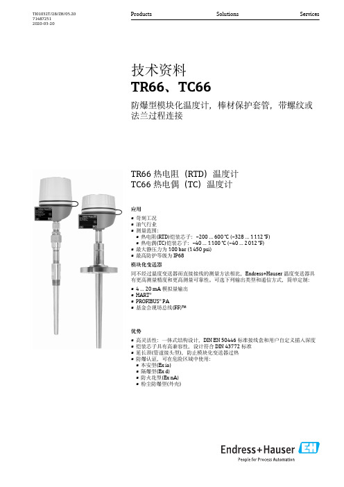 Endress+Hauser TR66和TC66防爆型模块化温度计说明书