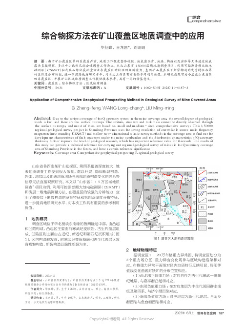 综合物探方法在矿山覆盖区地质调查中的应用