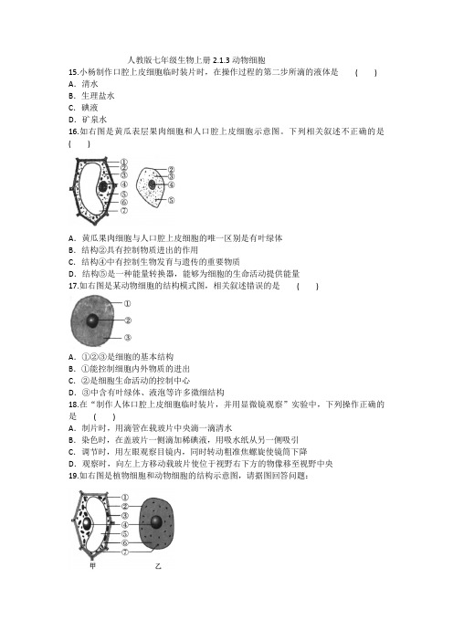 人教版七年级生物上册2.1.3动物细胞试卷(含答案)