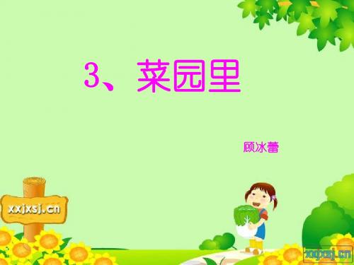 数学菜园里
