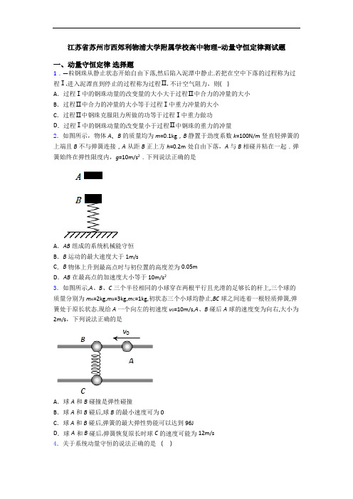 江苏省苏州市西郊利物浦大学附属学校高中物理-动量守恒定律测试题