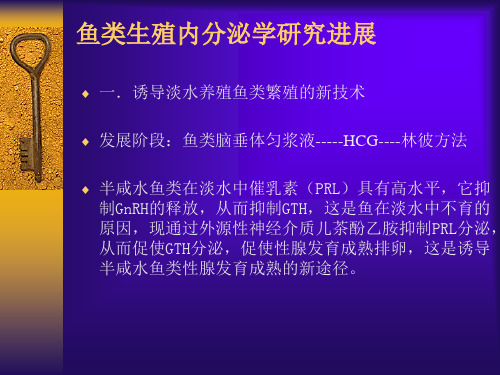 第六章  鱼类生殖内分泌学研究进展