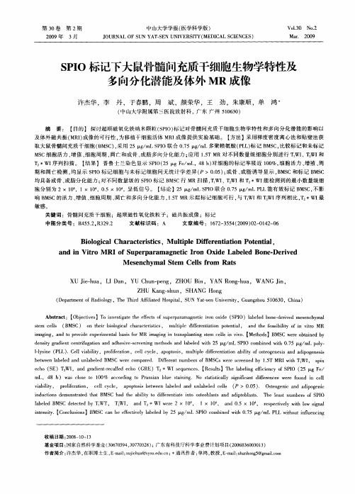 SPIO标记下大鼠骨髓间充质干细胞生物学特性及多向分化潜能及体外MR成像