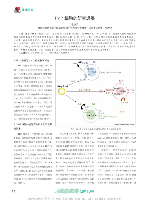 Th17细胞的研究进展