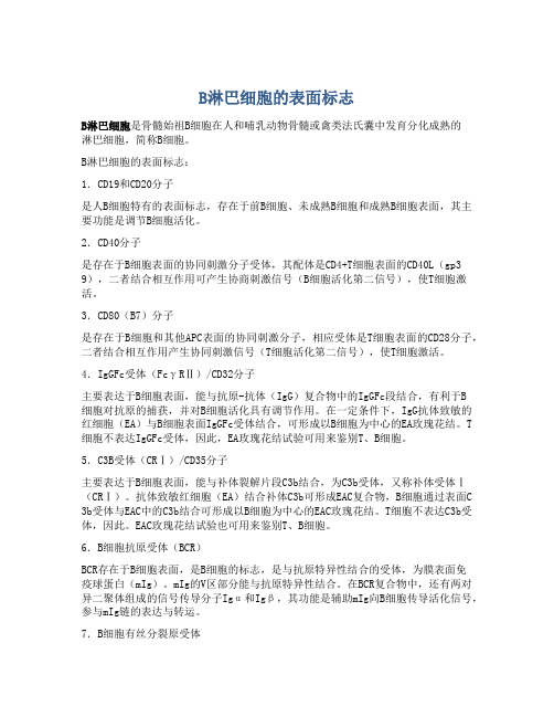 B淋巴细胞的表面标志