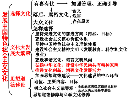 高二政治推动社会主义文化大发展大繁荣-P