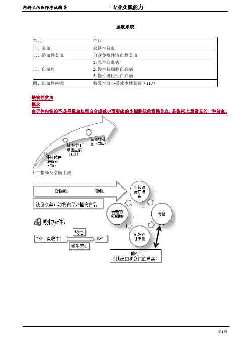 2020年内科学主治医师资格笔试考点解析  (7)：血液系统