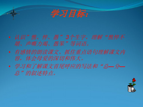 母亲的呼唤PPT课件
