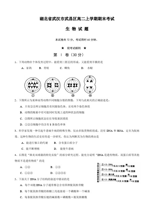 湖北省武汉市武昌区高二上学期期末考试(生物).doc