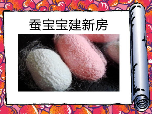 《蚕宝宝建新房》PPT课件2