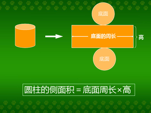 圆柱的表面积(1)