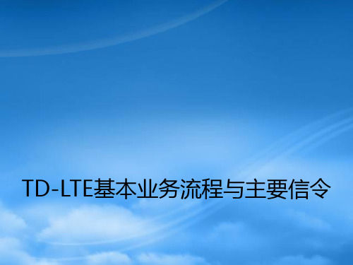 TDLTE基本业务流程与主要信令概述