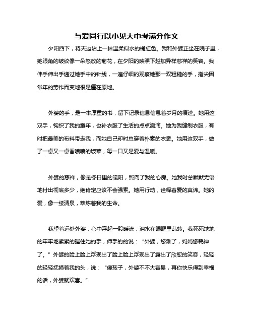 与爱同行以小见大中考满分作文