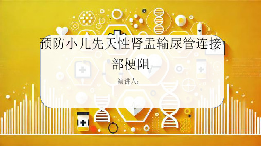 预防小儿先天性肾盂输尿管连接部梗阻课件