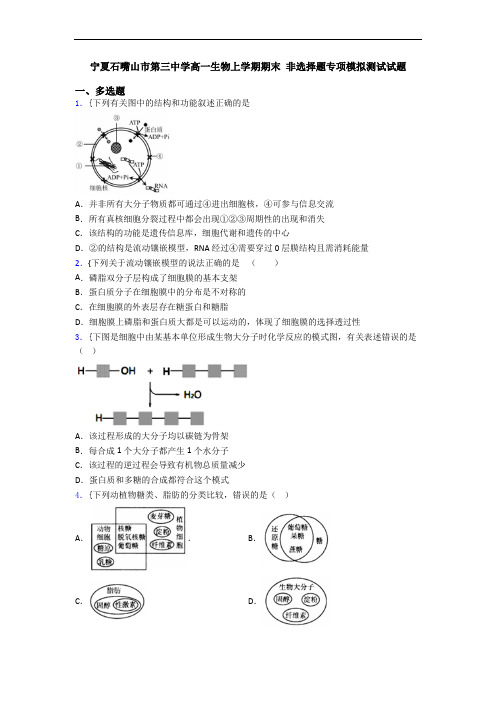 宁夏石嘴山市第三中学高一生物上学期期末 非选择题专项模拟测试试题